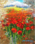 Artist James Coleman Artist James Coleman Poppy Impressions (SN)